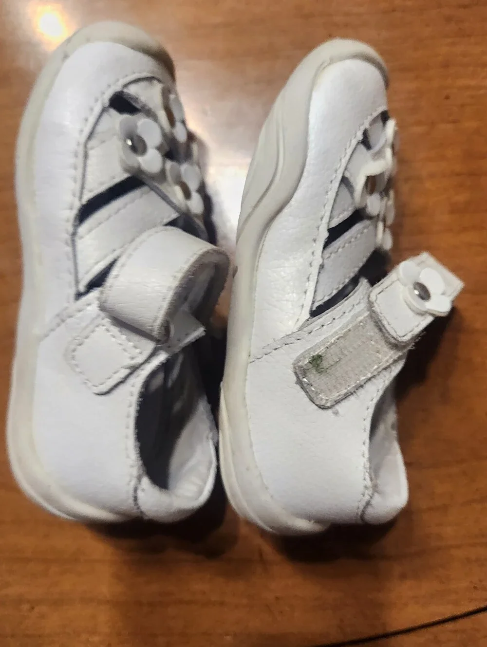 Pediped 21 Flower Sandal